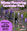 Winter Flowering Lavender Pack