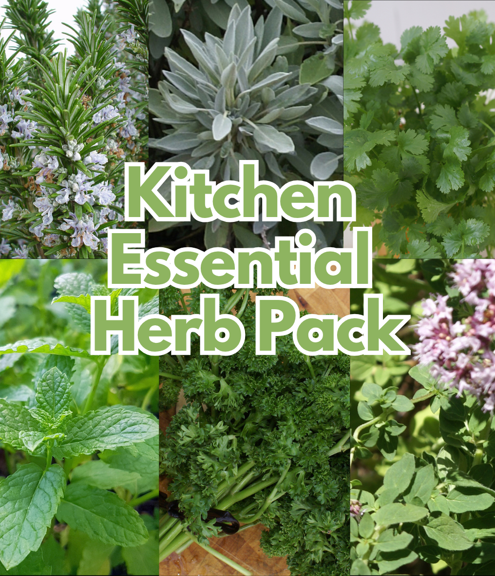 Kitchen Essentials Herb Pack