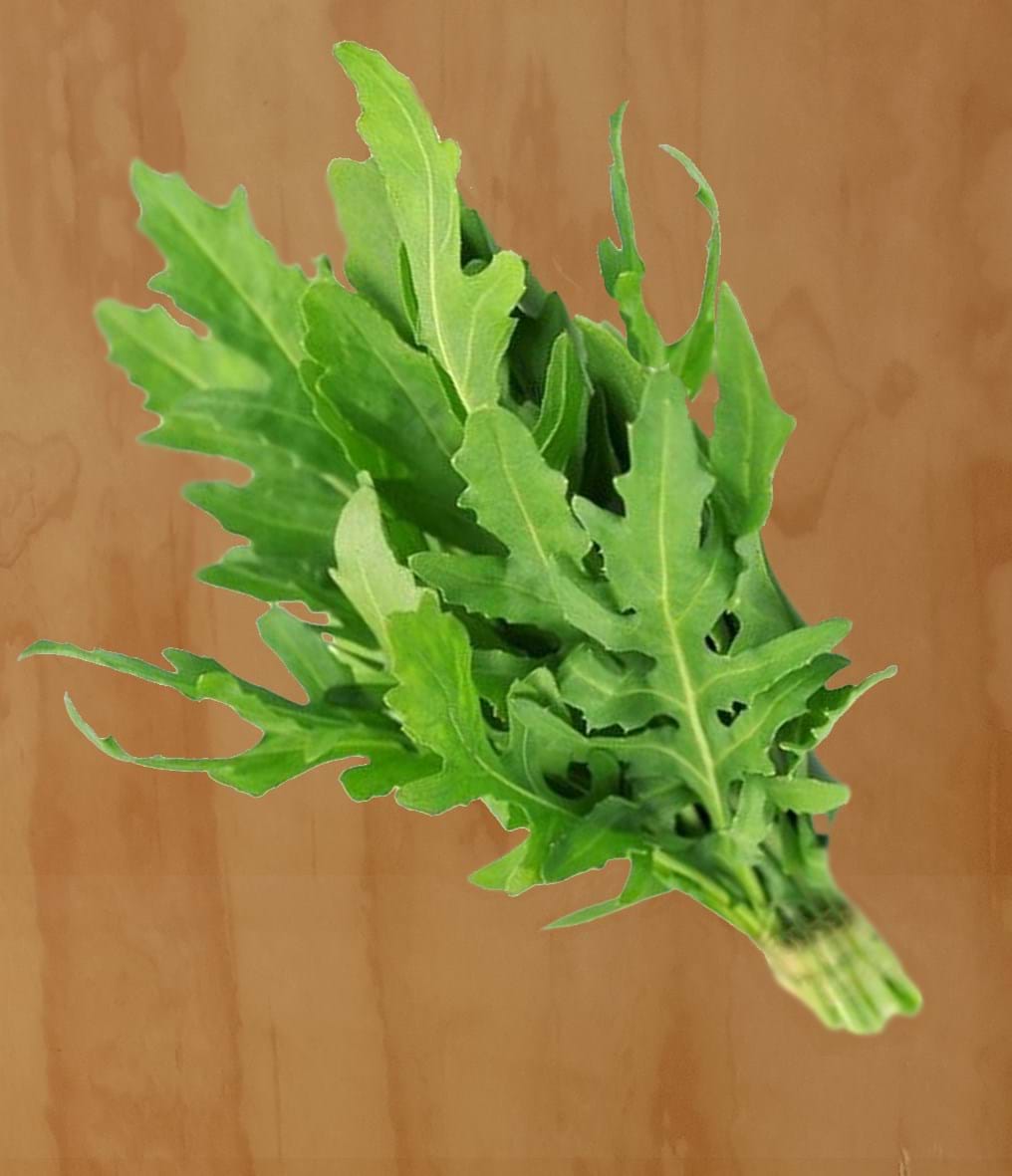 Diplotaxis Tenuifolia