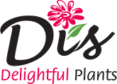 Dis Delightful Plants